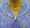 collar detail